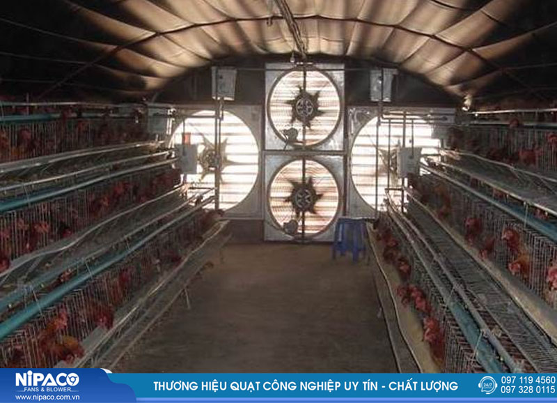 Quạt hút công nghiệp vuông