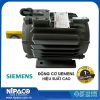 Quạt hút composite 1460x1460 cánh nhôm đúc dây đai mắc xích 11 Động cơ SIEMENS hiệu suất cao